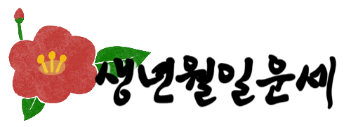 생년월일운세